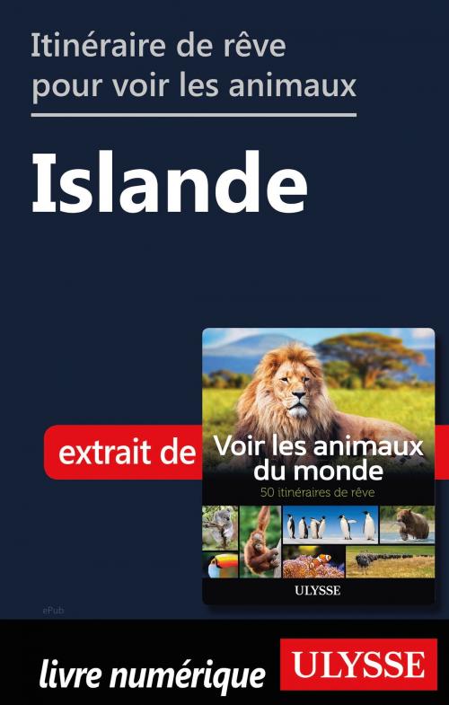 Cover of the book Itinéraire de rêve pour voir les animaux - Islande by Ariane Arpin-Delorme, Guides de voyage Ulysse