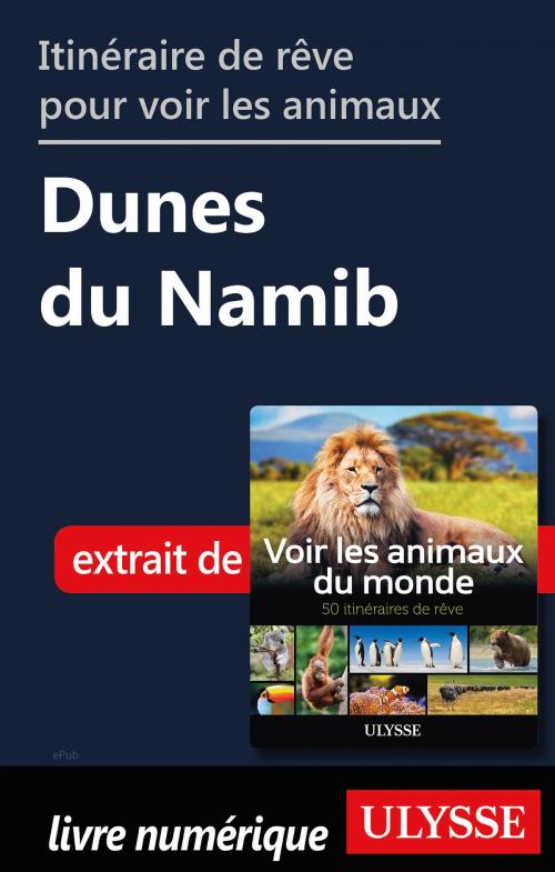 Cover of the book Itinéraire de rêve pour voir les animaux - Dunes du Namib by Ariane Arpin-Delorme, Guides de voyage Ulysse