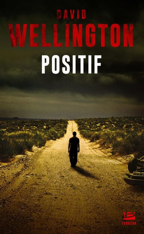 Cover of the book Positif by David Wellington, Bragelonne