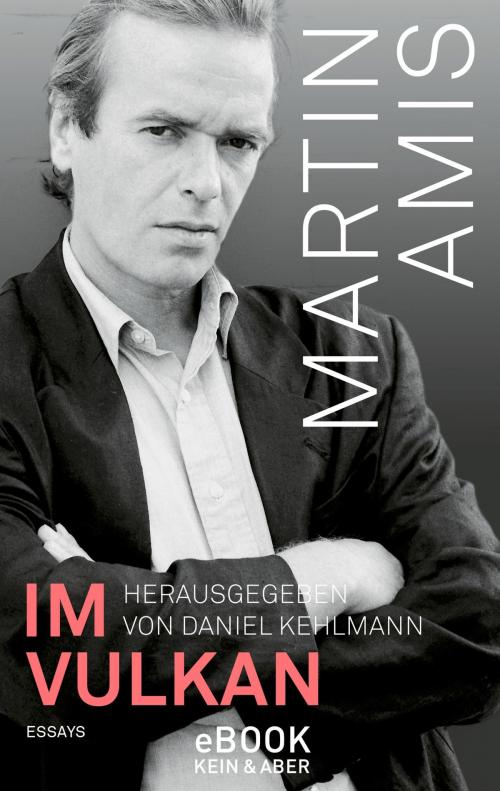 Cover of the book Im Vulkan by Martin Amis, Kein und Aber (Bücher+Tonträger), Zürich