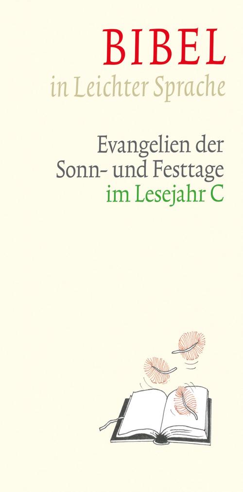 Cover of the book Bibel in Leichter Sprache by Dieter Bauer, Claudio Ettl, Paulis Mels, Verlag Katholisches Bibelwerk