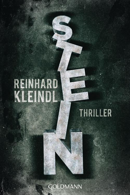 Cover of the book Stein by Reinhard Kleindl, Goldmann Verlag