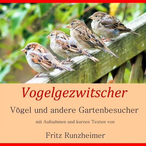 Cover of the book Vogelgezwitscher by Fritz Runzheimer, Books on Demand