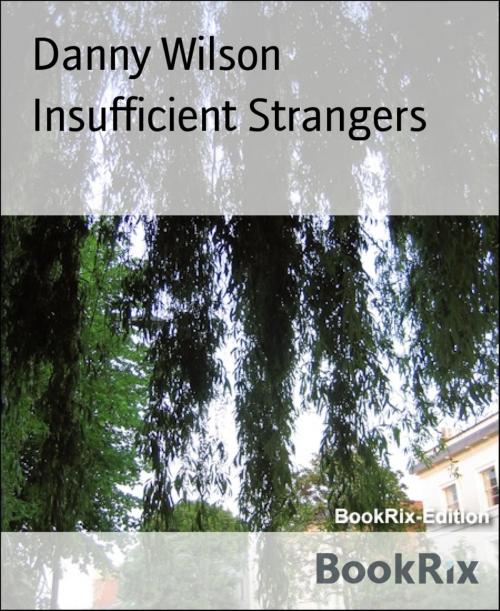 Cover of the book Insufficient Strangers by Danny Wilson, BookRix