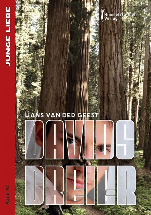 Cover of the book Davids Dreier by Hans van der Geest, Himmelstürmer Verlag