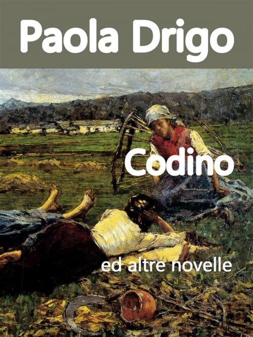 Cover of the book Codino by Paola Drigo, Edizioni Scrivere