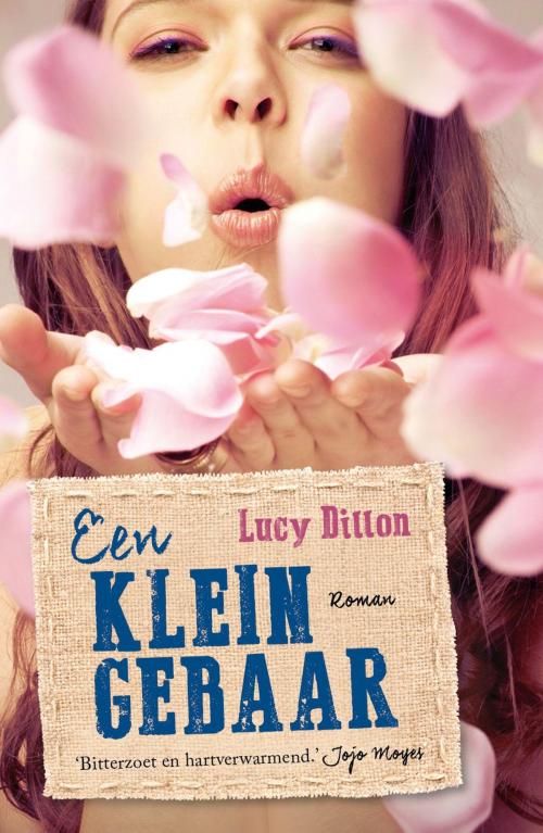 Cover of the book Een klein gebaar by Lucy Dillon, VBK Media