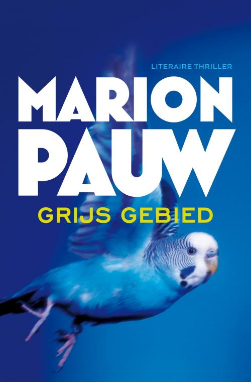 Cover of the book Grijs gebied by Marion Pauw, Ambo/Anthos B.V.