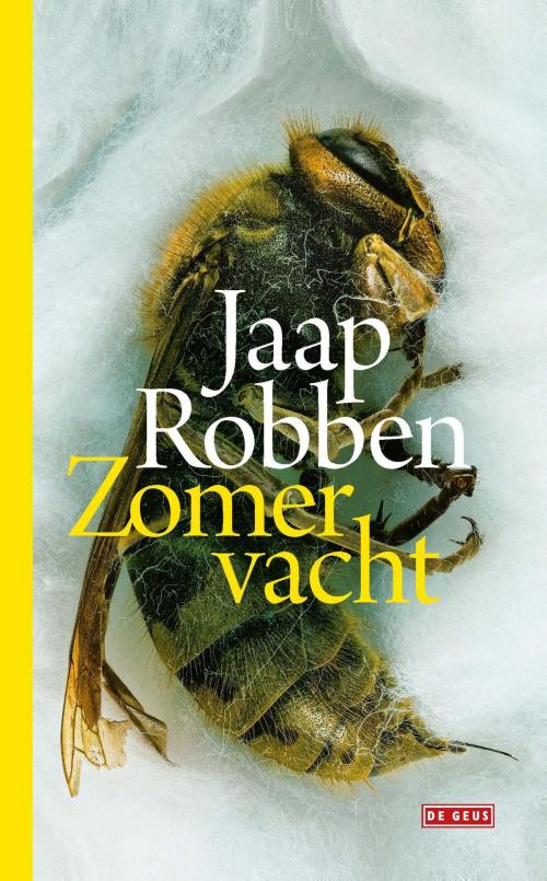 Cover of the book Zomervacht by Jaap Robben, Singel Uitgeverijen