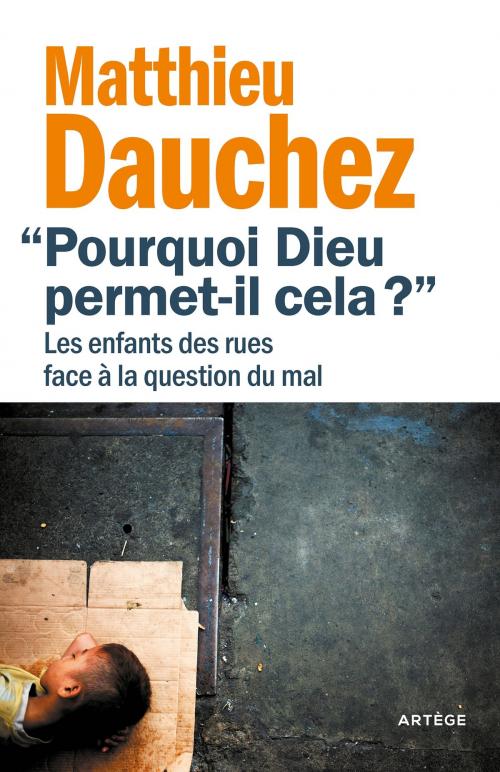 Cover of the book Pourquoi Dieu permet-il cela ? by Luis Antonio G. Tagle, Abbé Matthieu Dauchez, Artège Editions