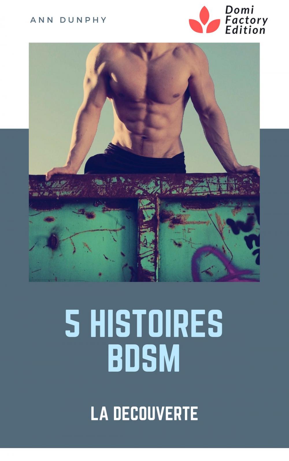 Big bigCover of 5 histoires BDSM : la découverte