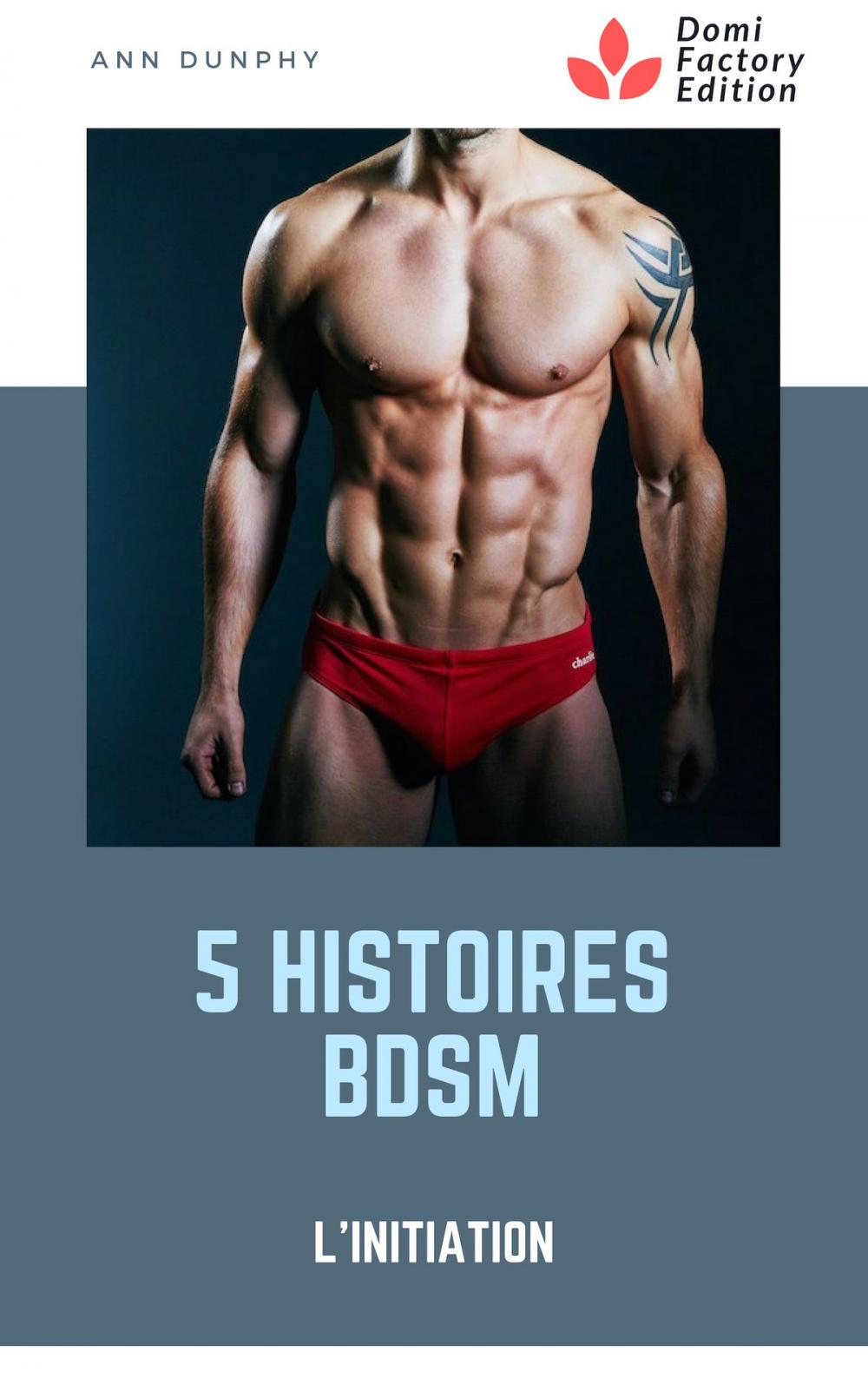 Big bigCover of 5 histoires BDSM : l'initiation