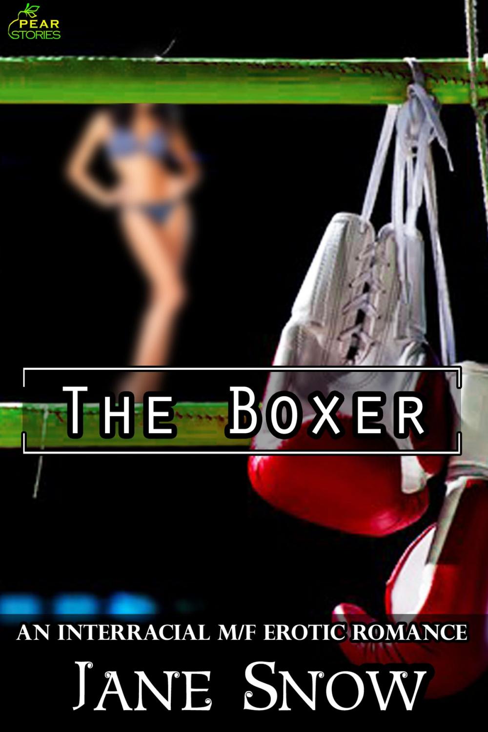 Big bigCover of The Boxer