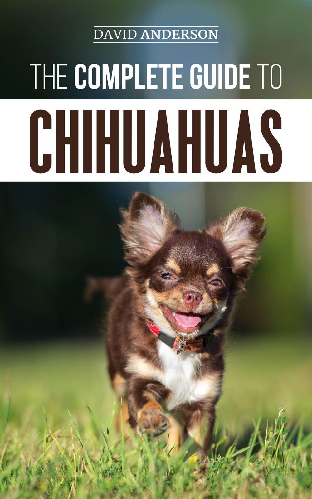 Big bigCover of The Complete Guide to Chihuahuas