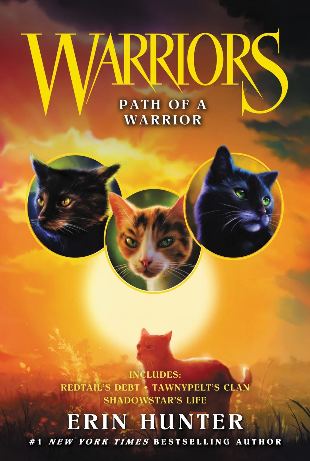 Big bigCover of Warriors: Path of a Warrior