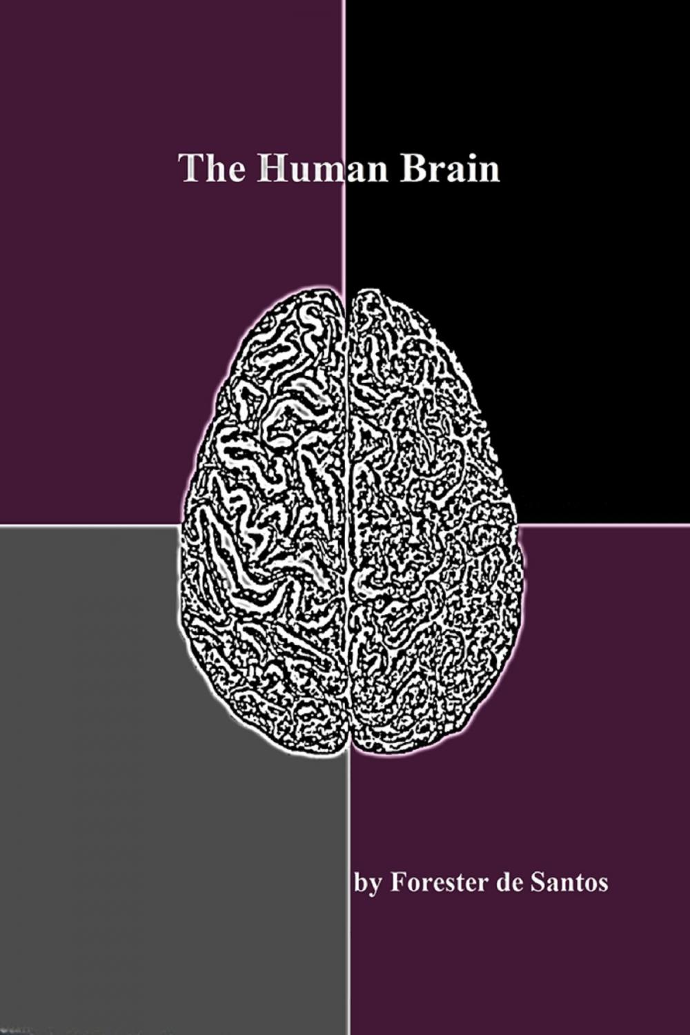 Big bigCover of The Human Brain