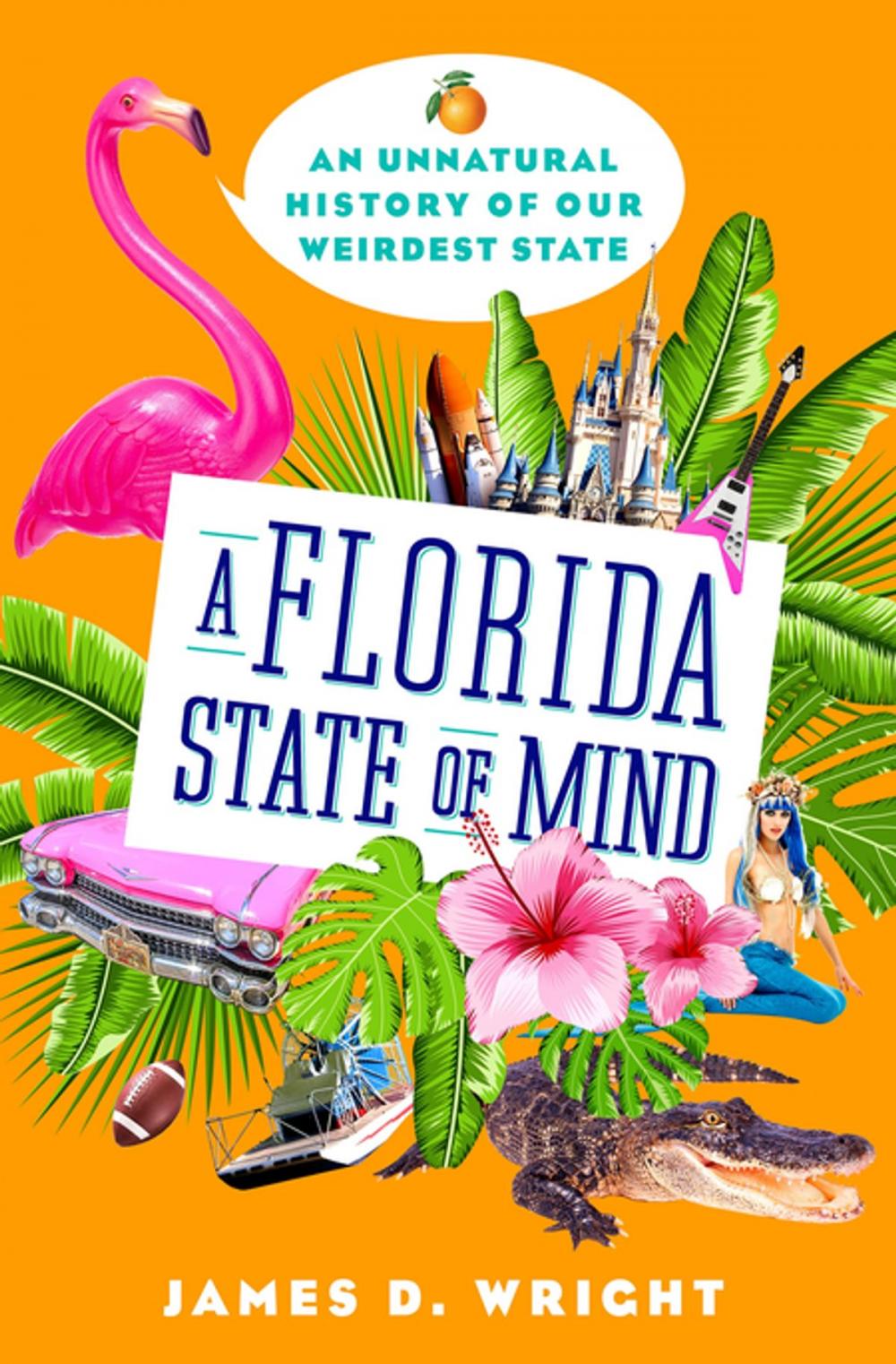 Big bigCover of A Florida State of Mind