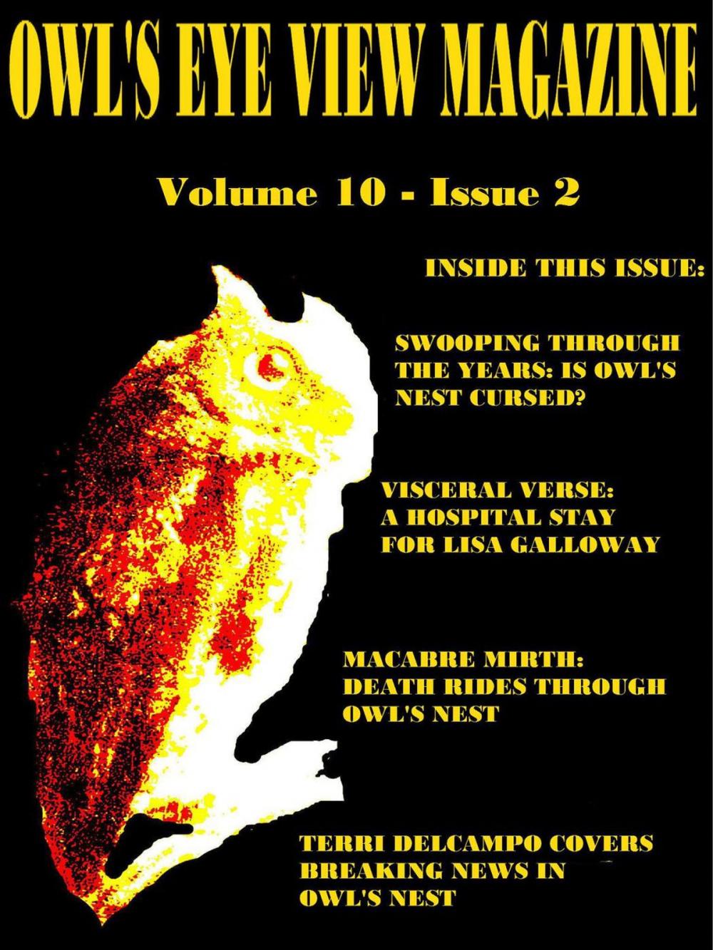 Big bigCover of Owl's Eye View Magazine - Volume 10 - Issue 2