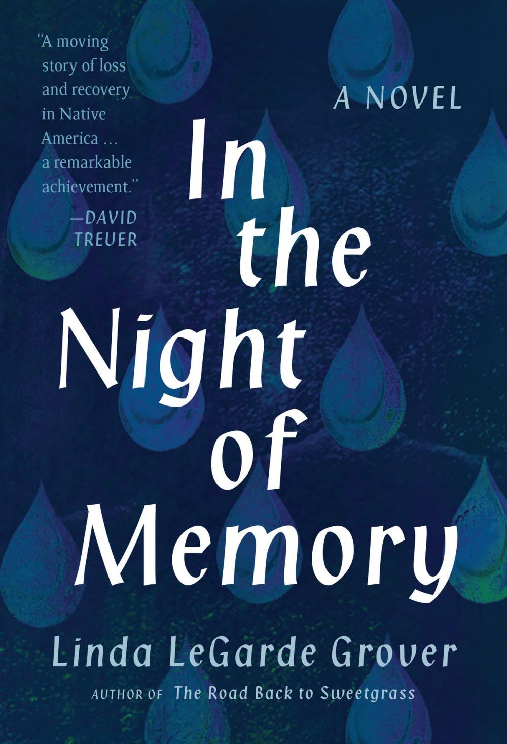 Big bigCover of In the Night of Memory