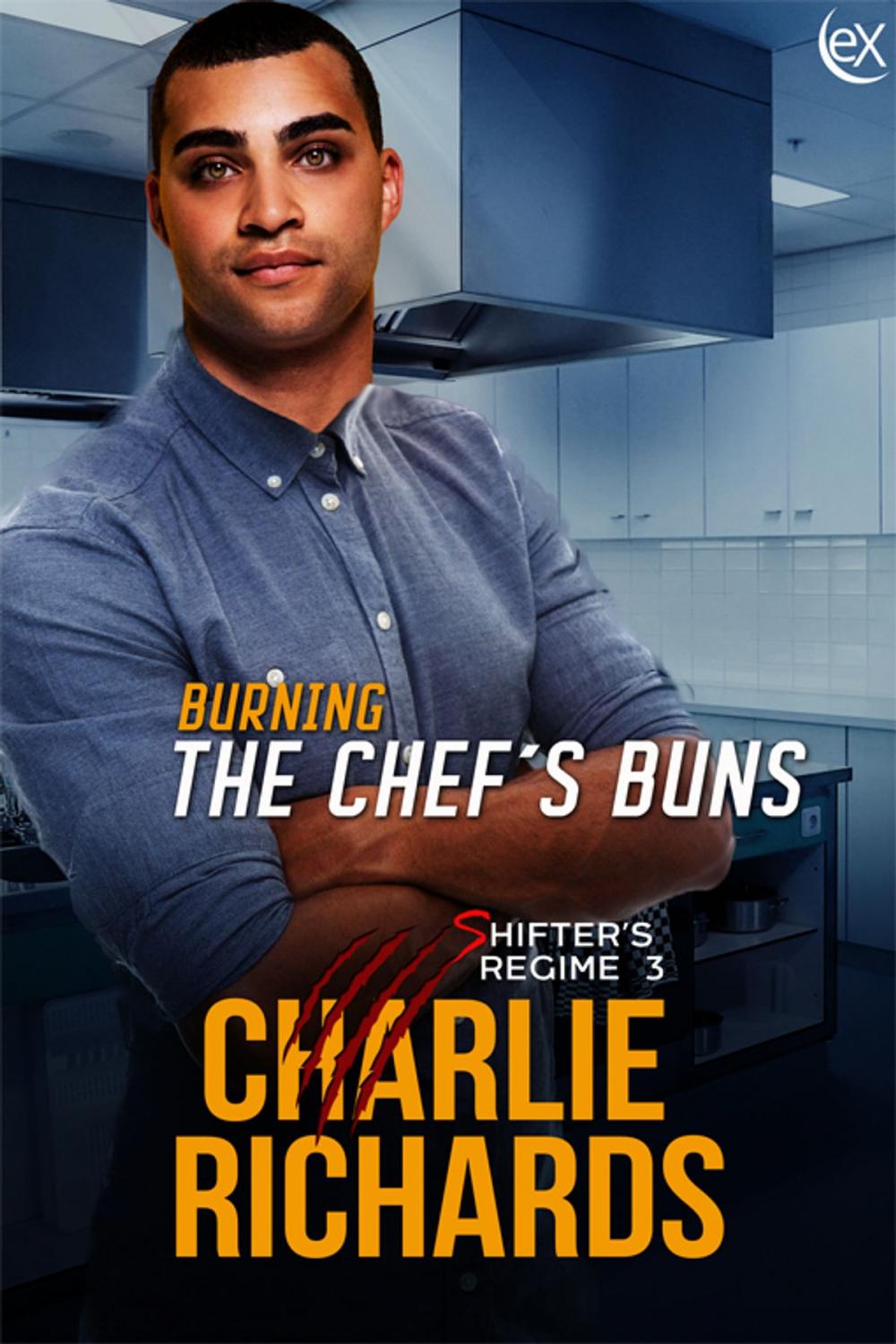 Big bigCover of Burning the Chef's Buns