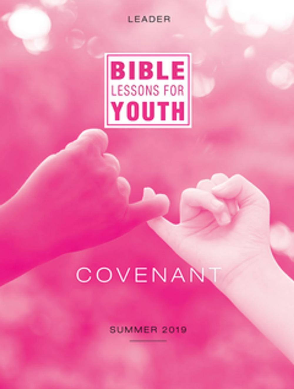 Big bigCover of Bible Lessons for Youth Summer 2019 Leader