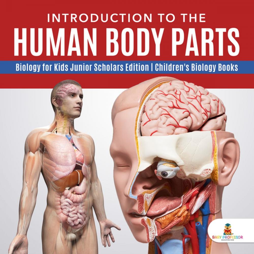 Big bigCover of Introduction to the Human Body Parts | Biology for Kids Junior Scholars Edition | Children's Biology Books