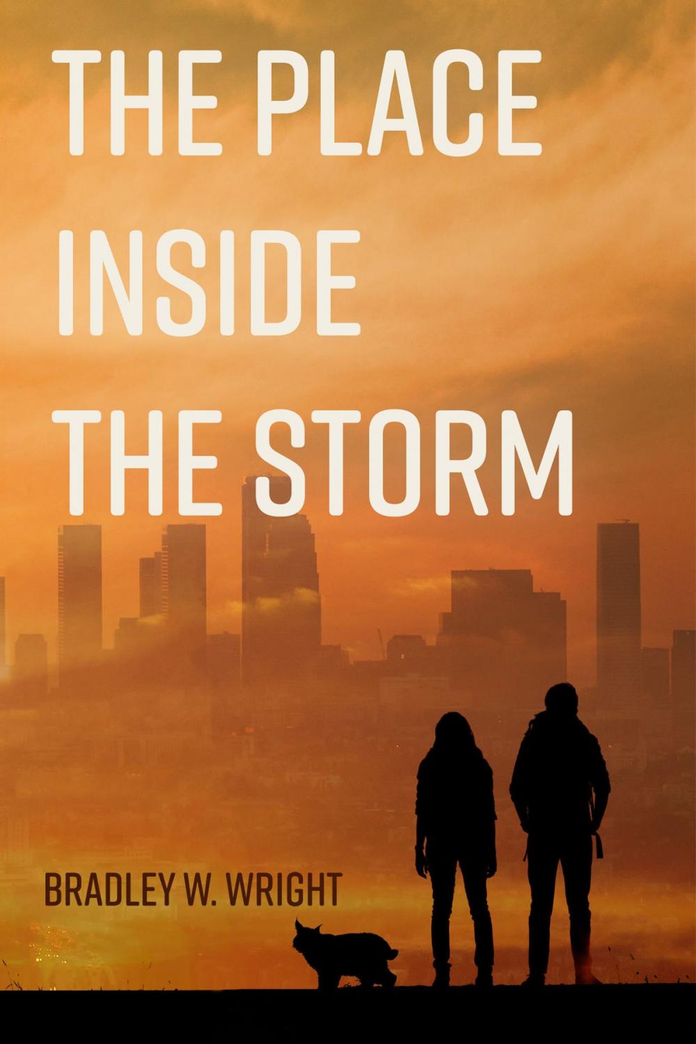 Big bigCover of The Place Inside the Storm