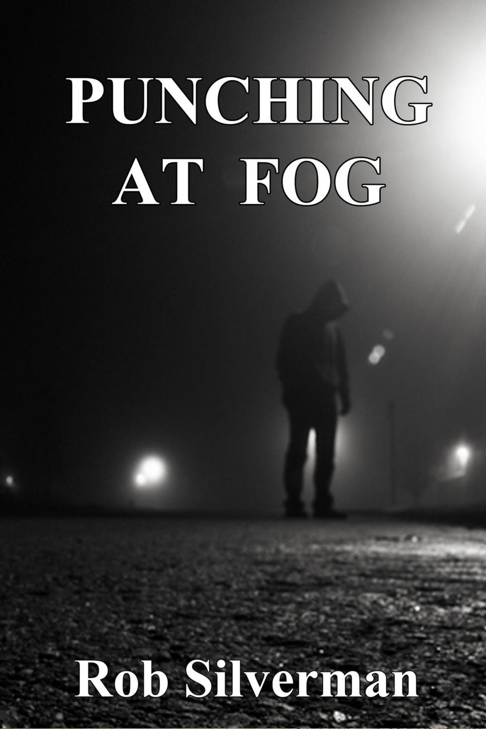 Big bigCover of Punching at Fog