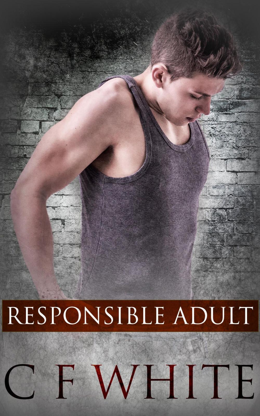 Big bigCover of Responsbile Adult: A Box Set