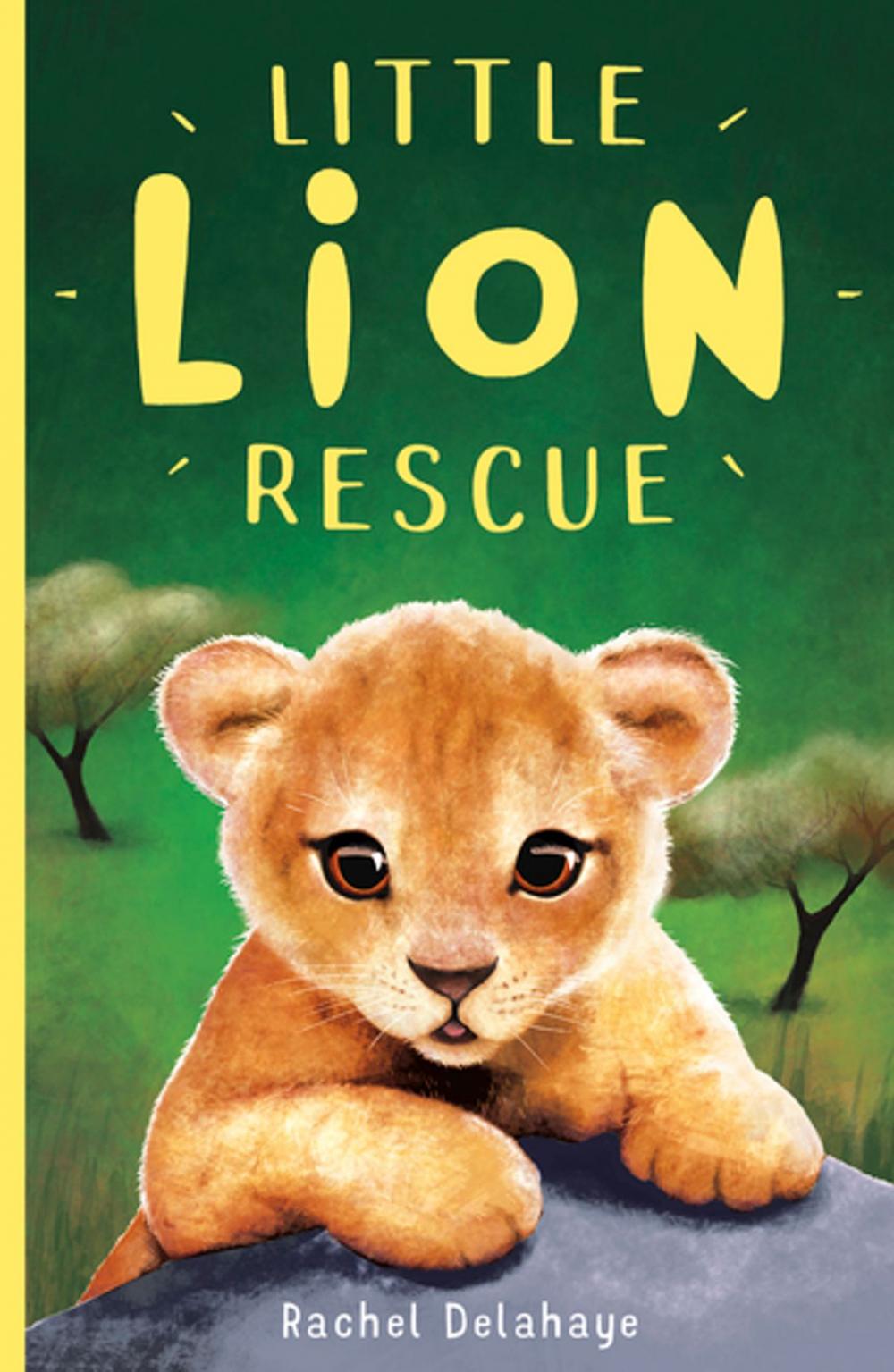 Big bigCover of Little Lion Rescue