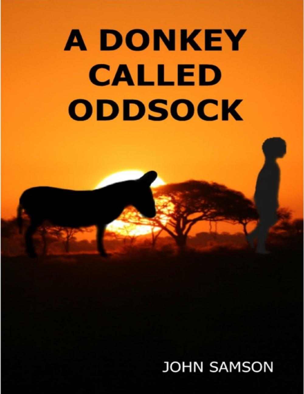 Big bigCover of A Donkey Called Oddsock
