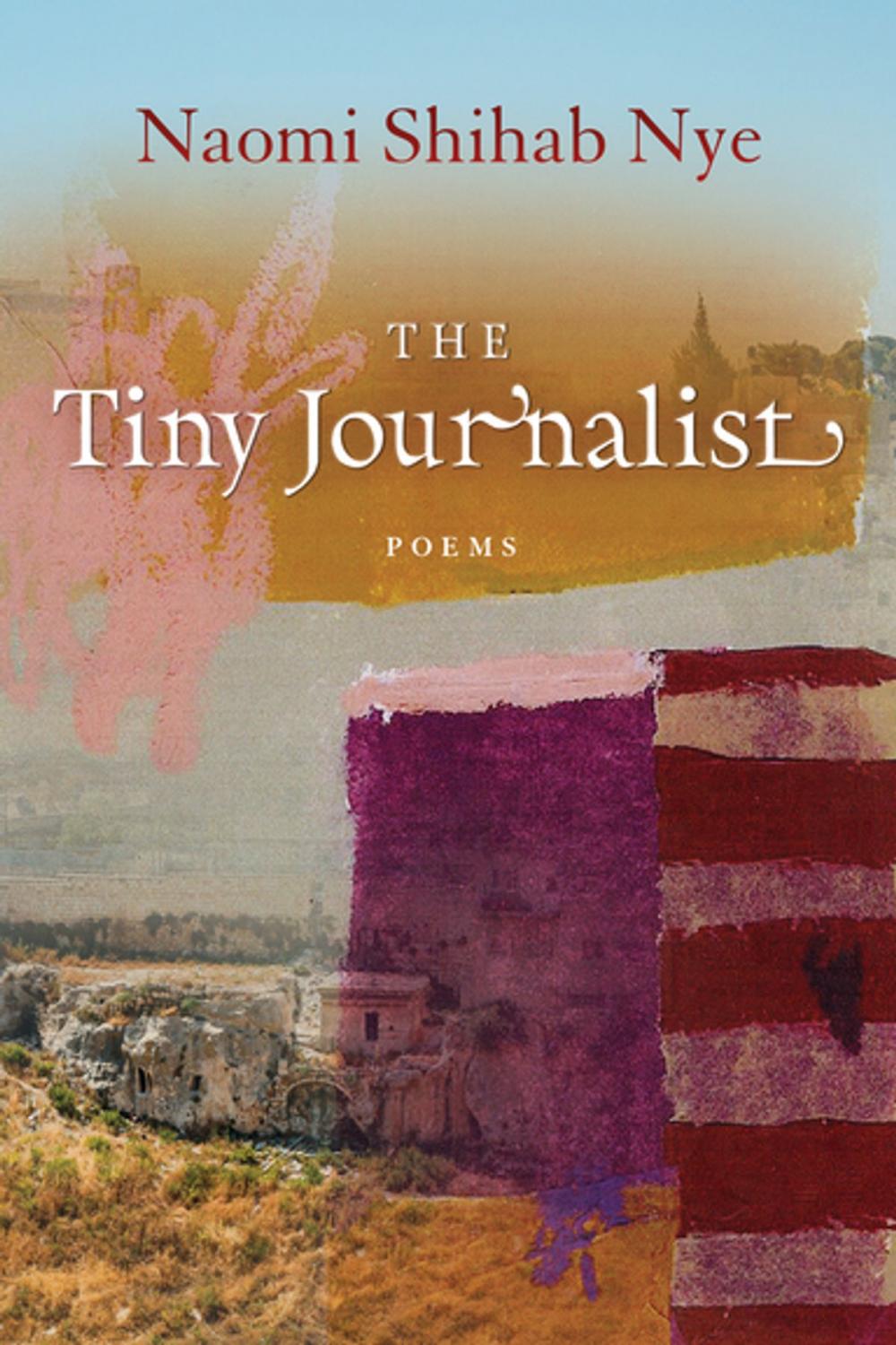 Big bigCover of The Tiny Journalist