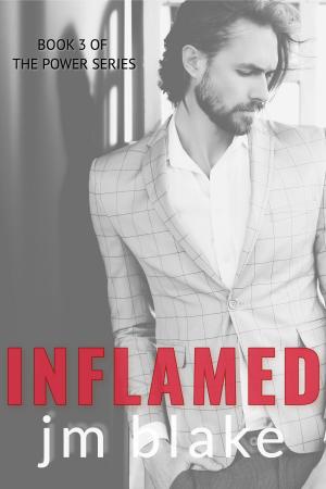Cover of the book Inflamed by Rebecca Airies
