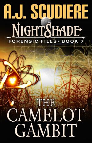 Book cover of The Camelot Gambit