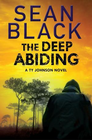 Book cover of The Deep Abiding
