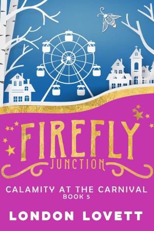 Book cover of Calamity at the Carnival