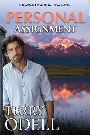 Cover of the book Personal Assignment by CB Samet