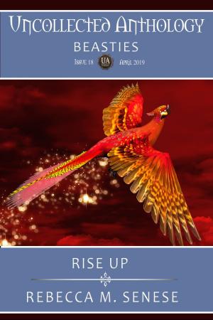 Cover of the book Rise Up by Vincent Berg