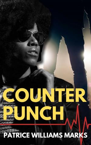 bigCover of the book Counter Punch by 