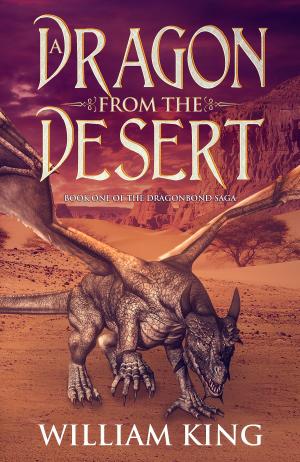 Book cover of A Dragon from the Desert