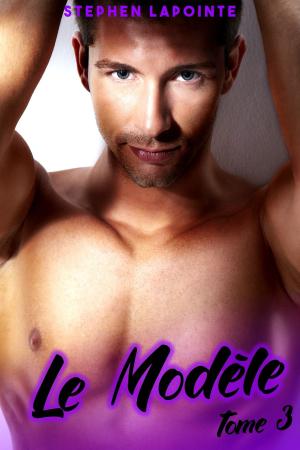 Cover of the book Le Modèle by Stephen Lapointe