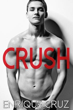 Cover of the book Crush by Kiha Chihana