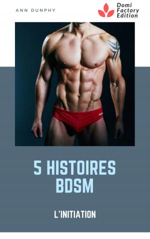 Cover of the book 5 histoires BDSM : l'initiation by Ann Dunphy