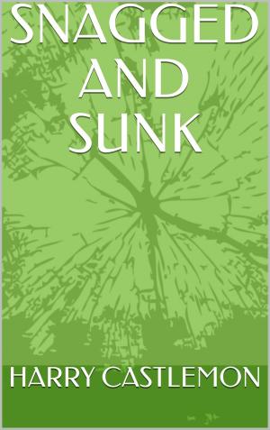 Book cover of SNAGGED AND Sunk