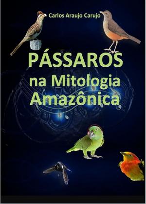 Cover of the book PÁSSAROS by Michael Alan Peck