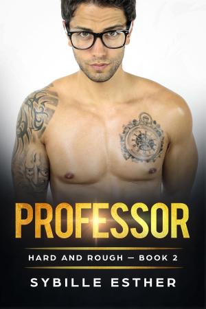 Book cover of Professor