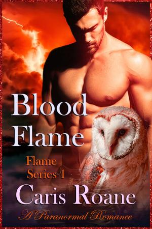 Cover of the book Blood Flame by Marie Johnston