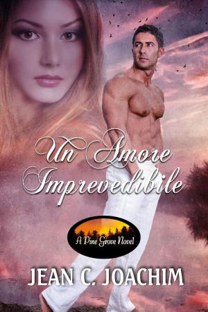 Cover of the book Un Amore Prevedibile by Lisa M. Owens