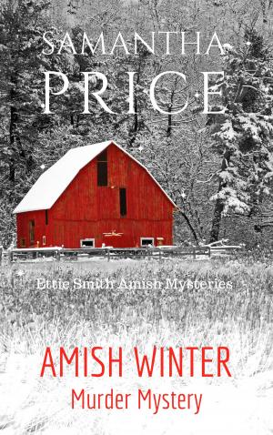 Cover of the book Amish Winter Murder Mystery by Samantha Price