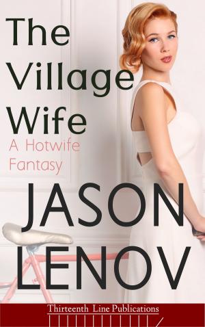 Book cover of The Village Wife
